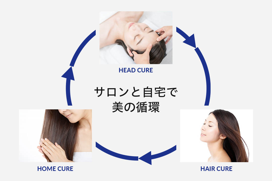 図解